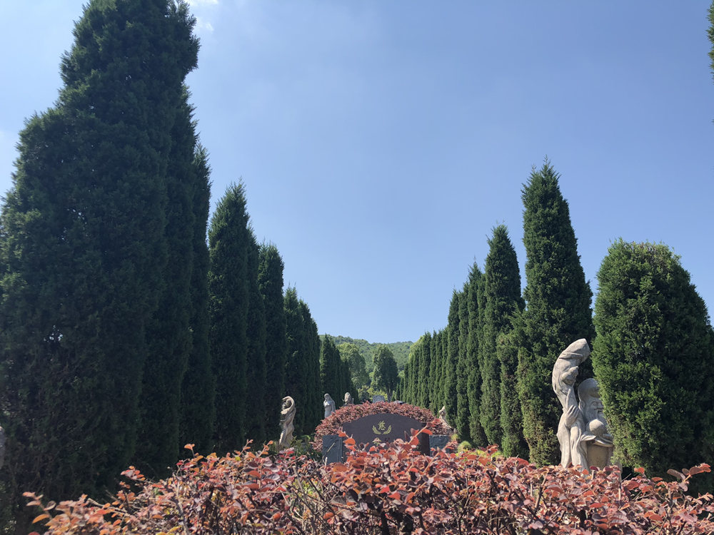 陵园景观